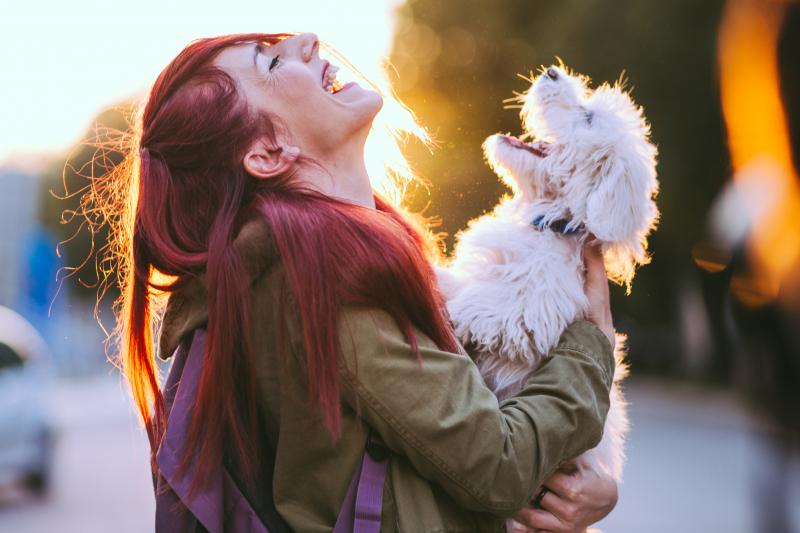 Comment le loup est-il devenu chien ?