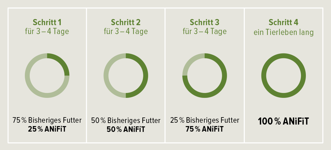 Tipps fr die Futterumstellung bei Hunden