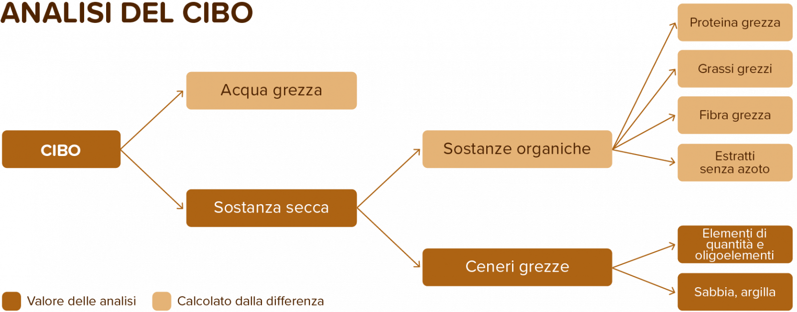 Cervo Sego - Cura E Protezione Per Gomme Auto, Camper, Casa - 25 Ml, Inodore E Non Tossico
