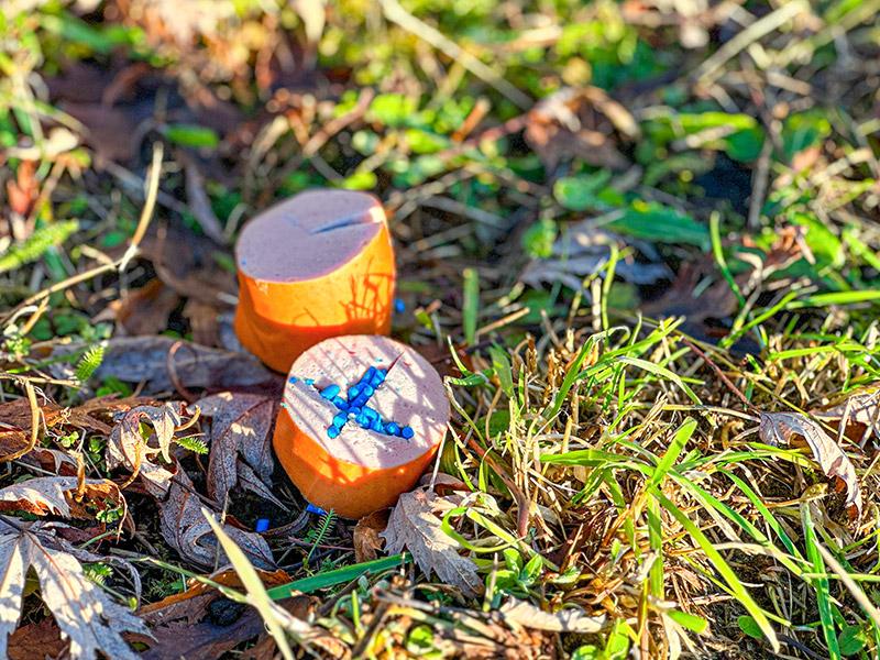 Giftk der F r Hunde Erkennen Und Richtig Handeln Giftk der F r Hunde Erkennen Und Richtig Handeln