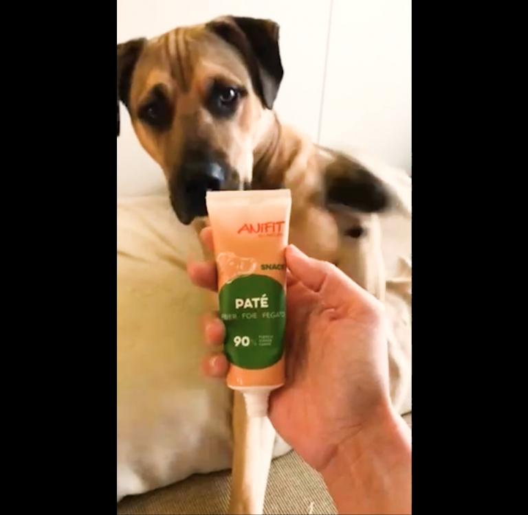 Paté Hunde Leberwurst Tube, der Hundesnack