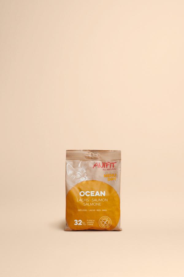 Katzen-Trockenfutter Ocean 100g