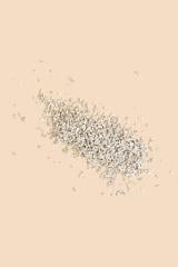 Litière pour chat à base de cellulose recyclée
