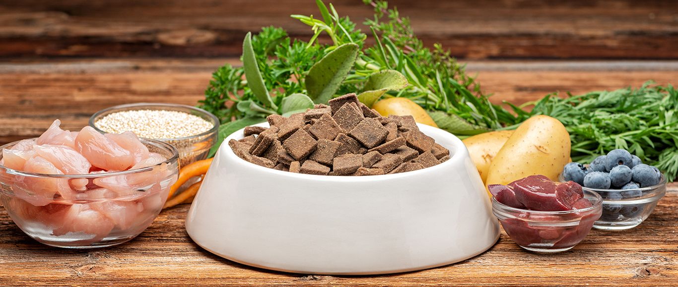 Trockenfutter für Hunde von ANiFiT: Hundefutter für Geniesser - 5D77ae651986b
